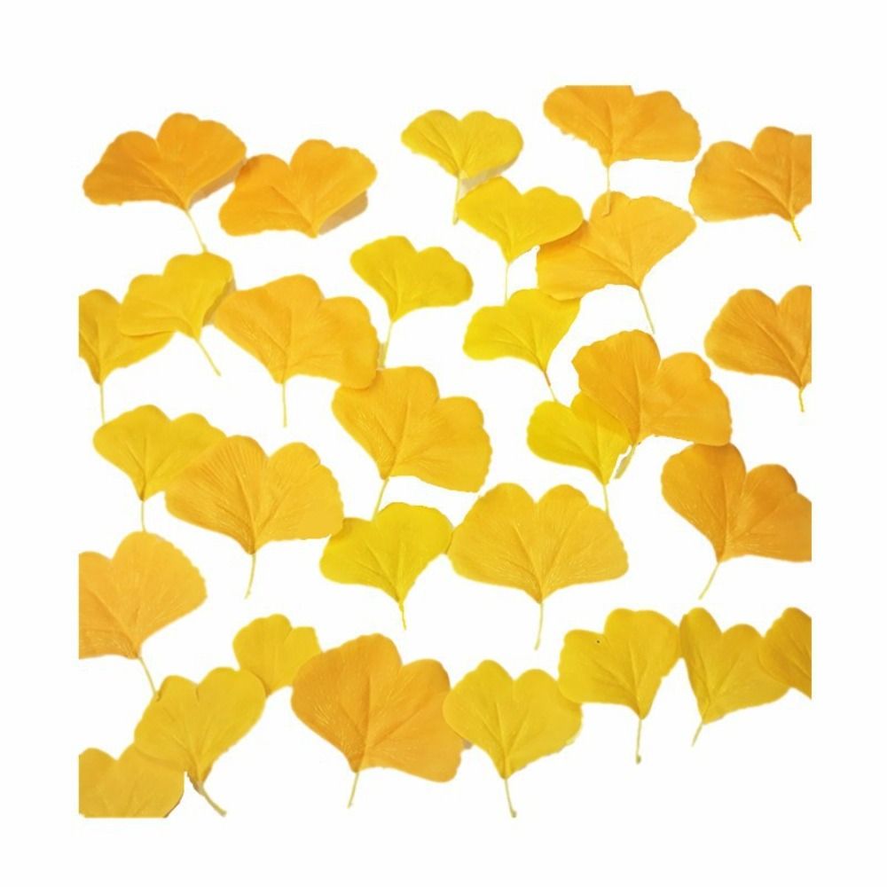 Desk Setup Photo - 100PCS Artificail Ginkgo Leaves Yellow Faux