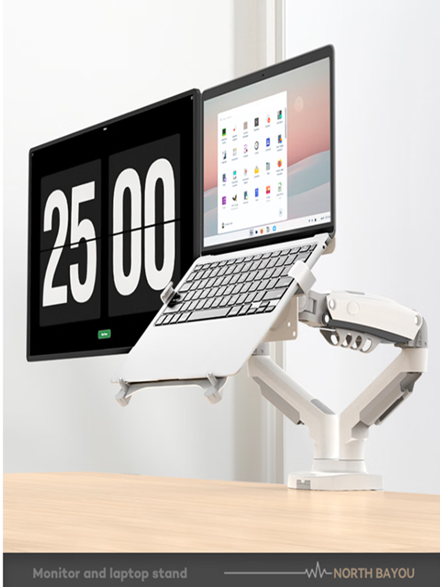 Desktop NB F160 + FP-2 Gas Spr - Dual Monitor Desk Setup recension och pris
