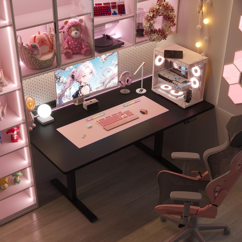 FLEXISPOT Electric Standing De - Dual Monitor Desk Setup recension och pris