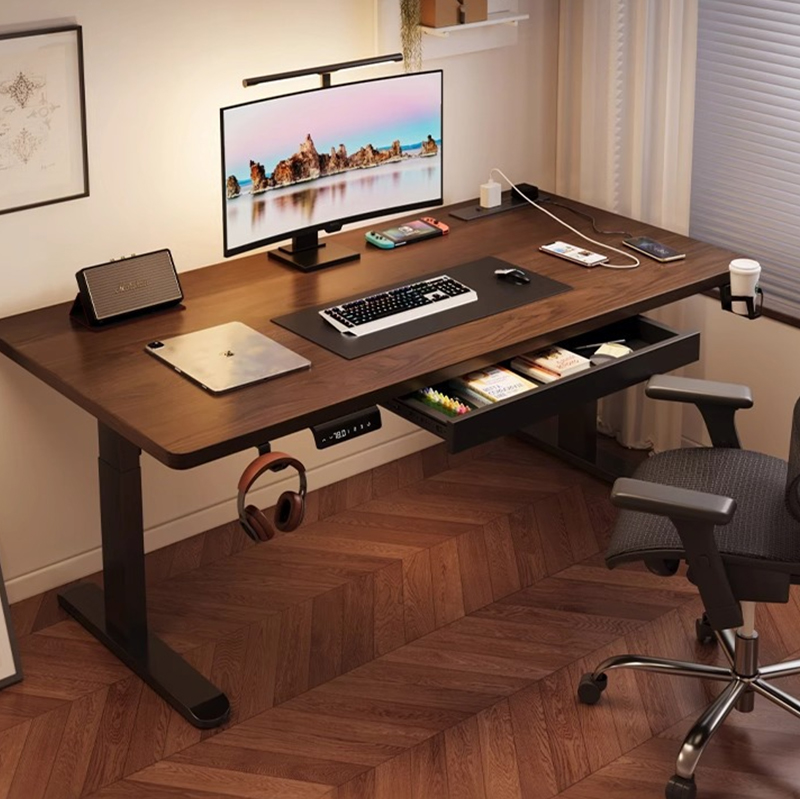 Modern Iron Dual Motor Electri - Dual Monitor Desk Setup recension och pris