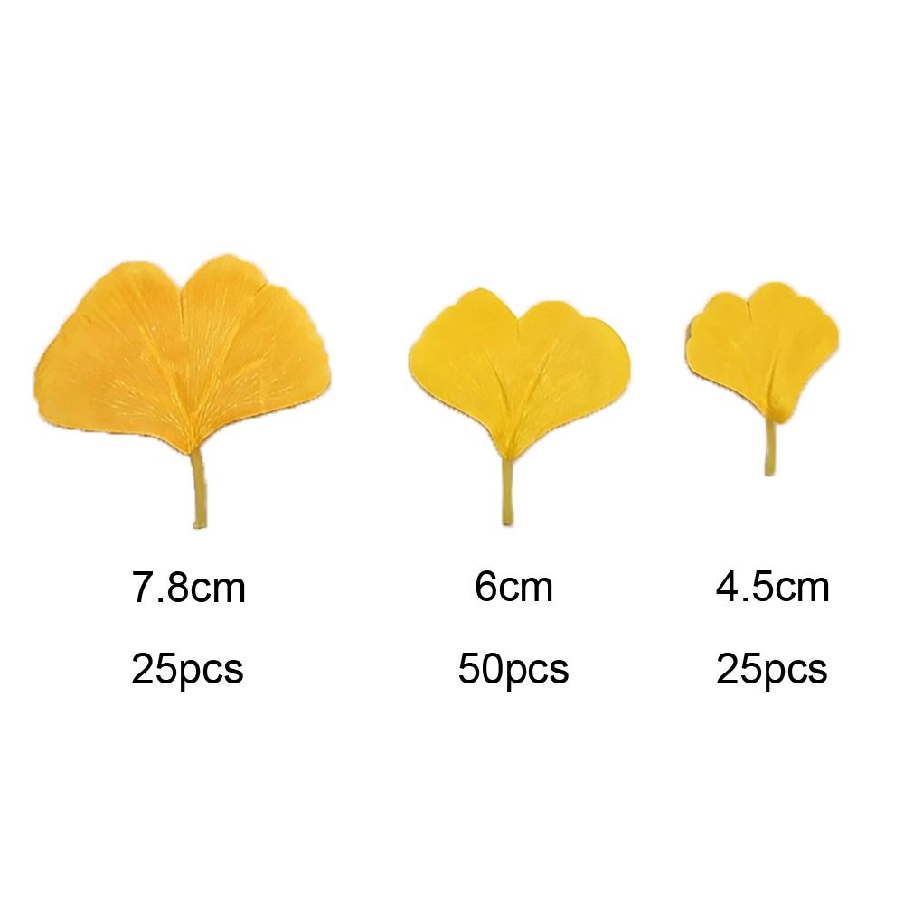 100PCS Artificail Ginkgo Leave - Desk Setup Photo recension och pris